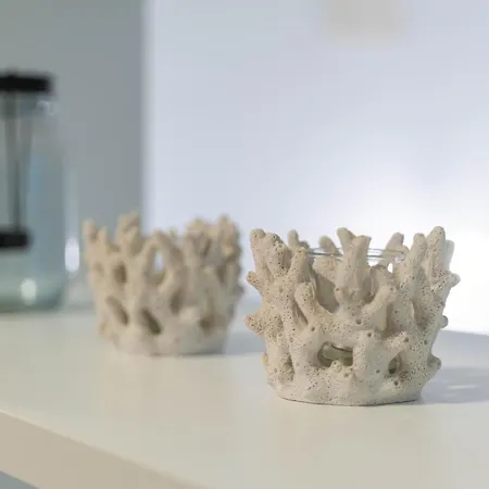 Longevity Appartement